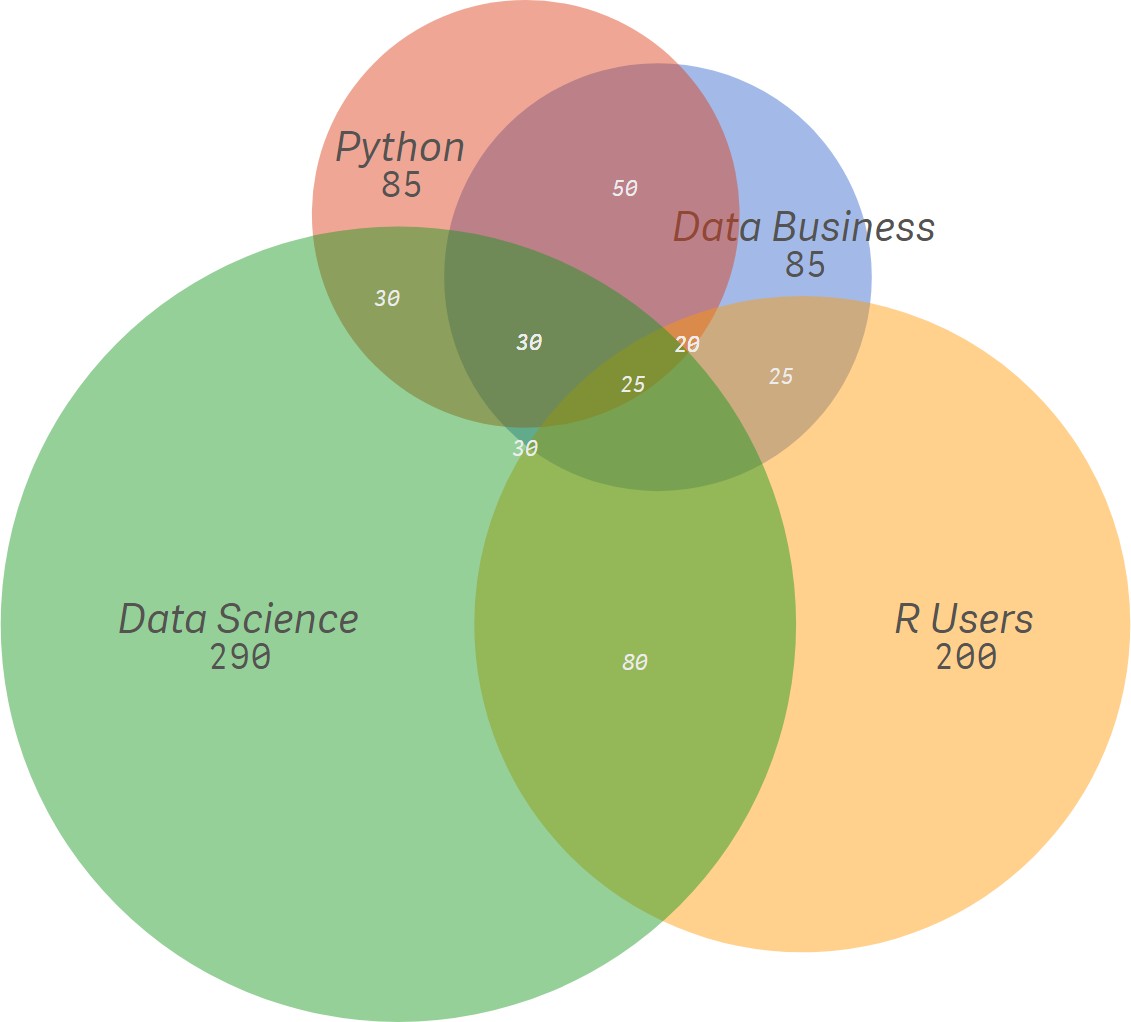 Vizlib Venn Diagram showing overlapping circles for the attributes Python, Data Business, Data Science, and R Users.